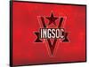 1984 INGSOC Big Brother Political  Flag Poster-null-Framed Poster