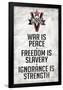 1984 INGSOC Big Brother Political Slogans-null-Framed Poster