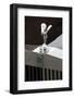 1985 Rolls Royce Camargue-null-Framed Photographic Print