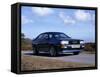 1986 Audi Quattro-null-Framed Stretched Canvas