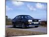 1986 Audi Quattro-null-Mounted Photographic Print