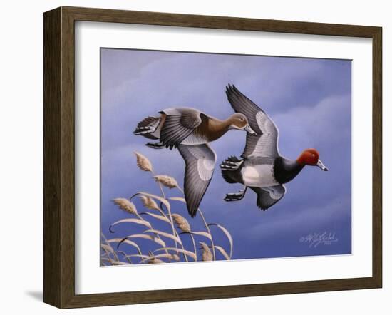 1986 Redhead Ducks-Wilhelm Goebel-Framed Giclee Print