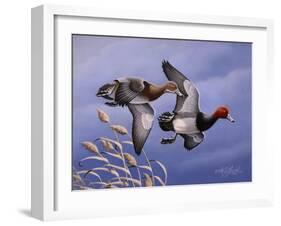 1986 Redhead Ducks-Wilhelm Goebel-Framed Giclee Print