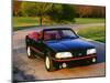 1987 Ford Mustang 5.0 litre GT-null-Mounted Photographic Print