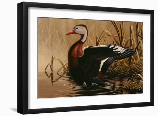 1988 Black Bellied Whistling Duck-Wilhelm Goebel-Framed Giclee Print