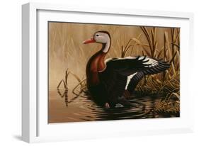 1988 Black Bellied Whistling Duck-Wilhelm Goebel-Framed Giclee Print