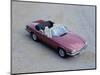 1988 Jaguar XJS V12 convertible-null-Mounted Photographic Print