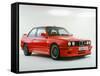 1989 BMW M3-null-Framed Stretched Canvas