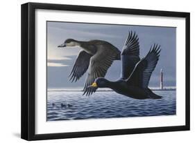 1990 Black Scoters-Wilhelm Goebel-Framed Giclee Print