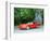 1990 Chevrolet Corvette ZR1-null-Framed Photographic Print