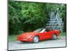 1990 Chevrolet Corvette ZR1-null-Mounted Photographic Print