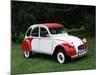 1990 Citroën 2CV 6-null-Mounted Photographic Print