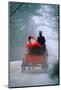 1990s ANONYMOUS SANTA CLAUS IN HORSE-DRAWN WAGON SNOWY DIRT ROAD REAR VIEW-Panoramic Images-Mounted Photographic Print