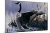 1992 Canada Goose-Wilhelm Goebel-Mounted Giclee Print