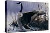 1992 Canada Goose-Wilhelm Goebel-Stretched Canvas