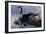 1992 Canada Goose-Wilhelm Goebel-Framed Giclee Print