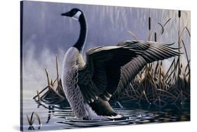 1992 Canada Goose-Wilhelm Goebel-Stretched Canvas