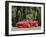 1993 Ferrari 348 Spider-null-Framed Photographic Print