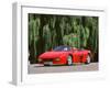 1993 Ferrari 348 Spider-null-Framed Photographic Print