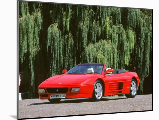 1993 Ferrari 348 Spider-null-Mounted Photographic Print