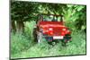 1993 Jeep Wrangler-null-Mounted Photographic Print