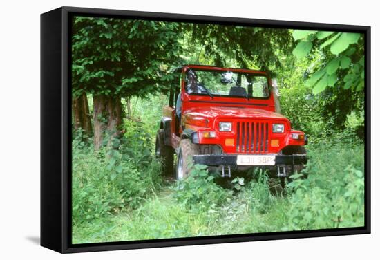 1993 Jeep Wrangler-null-Framed Stretched Canvas