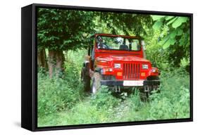 1993 Jeep Wrangler-null-Framed Stretched Canvas