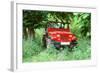 1993 Jeep Wrangler-null-Framed Photographic Print