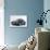 1993 Porsche 933-null-Photographic Print displayed on a wall