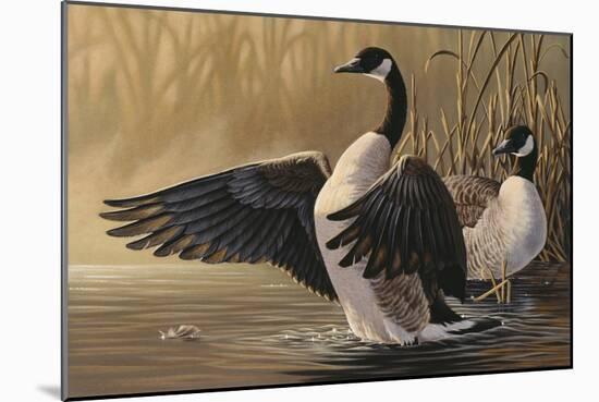 1994 Canada Geese-Wilhelm Goebel-Mounted Giclee Print