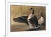 1994 Canada Geese-Wilhelm Goebel-Framed Premium Giclee Print