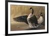 1994 Canada Geese-Wilhelm Goebel-Framed Premium Giclee Print