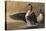 1994 Canada Geese-Wilhelm Goebel-Stretched Canvas