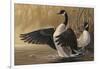 1994 Canada Geese-Wilhelm Goebel-Framed Giclee Print