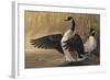 1994 Canada Geese-Wilhelm Goebel-Framed Giclee Print