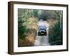 1994 Jeep Wrangler-null-Framed Photographic Print