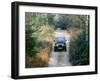 1994 Jeep Wrangler-null-Framed Photographic Print