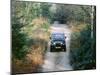 1994 Jeep Wrangler-null-Mounted Photographic Print