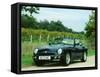 1994 MG RV8-null-Framed Stretched Canvas