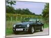 1994 MG RV8-null-Mounted Photographic Print