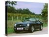 1994 MG RV8-null-Stretched Canvas