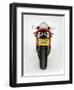 1995 Ducati 916-null-Framed Photographic Print