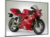 1995 Ducati 916-null-Mounted Photographic Print