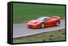 1996 Ferrari F50-null-Framed Stretched Canvas