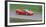 1996 Ferrari F50-null-Framed Photographic Print