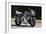 1996 Honda 900 CBR Fireblade-null-Framed Photographic Print