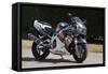 1996 Honda 900 CBR Fireblade-null-Framed Stretched Canvas