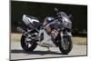 1996 Honda 900 CBR Fireblade-null-Mounted Photographic Print