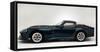 1996 Marcos Mantis-null-Framed Stretched Canvas