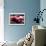 1996 Mustang-Spoken So Clearly-null-Art Print displayed on a wall